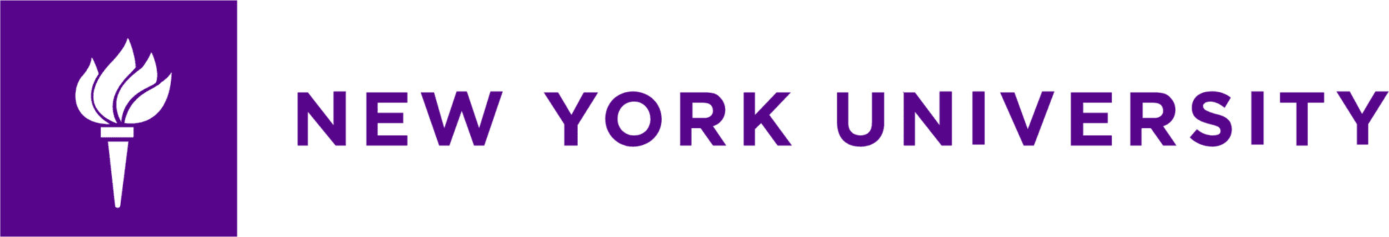 New York University