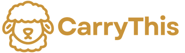 CarryThis